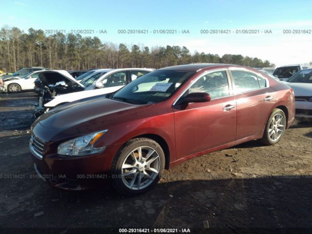 Photo 1 VIN: 1N4AA5AP6BC816017 - NISSAN MAXIMA 