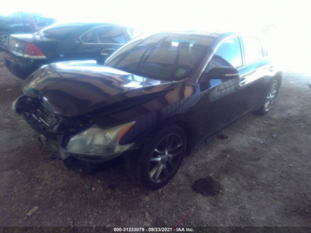 Photo 1 VIN: 1N4AA5AP6BC820231 - NISSAN MAXIMA 