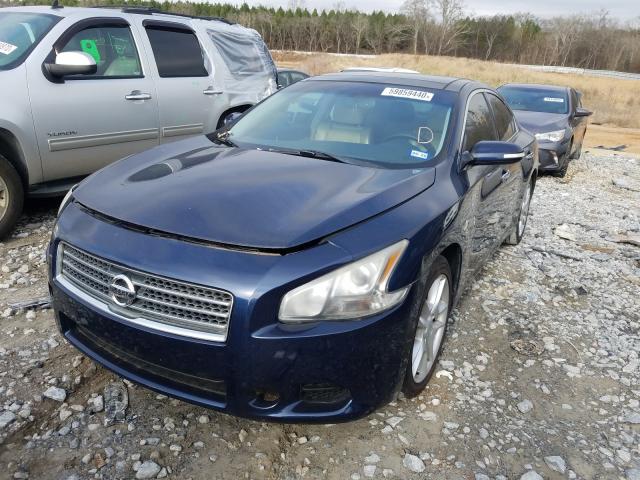 Photo 1 VIN: 1N4AA5AP6BC821699 - NISSAN MAXIMA 