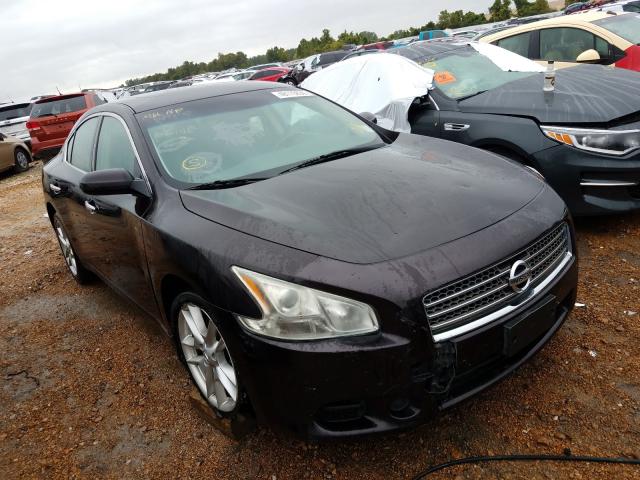 Photo 0 VIN: 1N4AA5AP6BC821900 - NISSAN MAXIMA S 