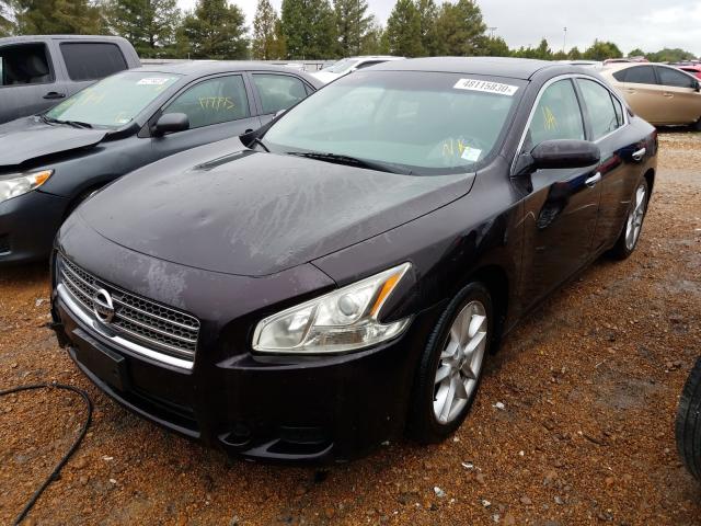 Photo 1 VIN: 1N4AA5AP6BC821900 - NISSAN MAXIMA S 