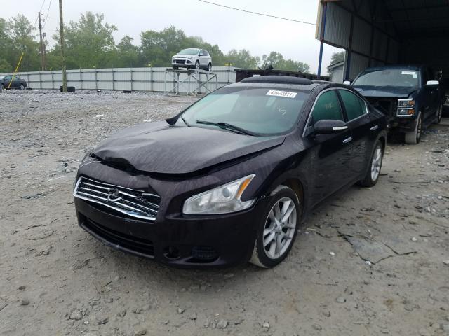 Photo 1 VIN: 1N4AA5AP6BC822304 - NISSAN MAXIMA S 