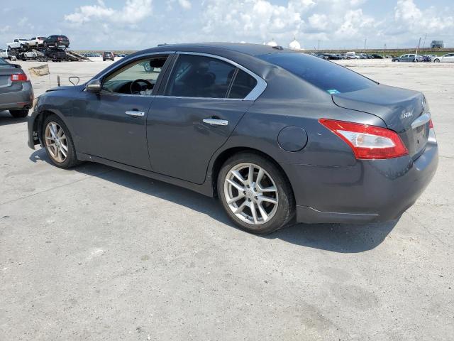 Photo 1 VIN: 1N4AA5AP6BC830211 - NISSAN MAXIMA 