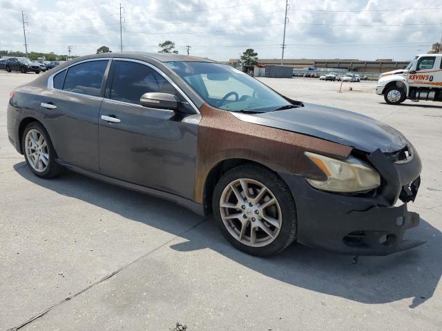 Photo 3 VIN: 1N4AA5AP6BC830211 - NISSAN MAXIMA 