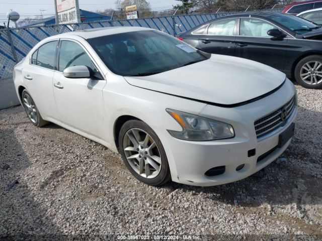 Photo 0 VIN: 1N4AA5AP6BC830385 - NISSAN MAXIMA 