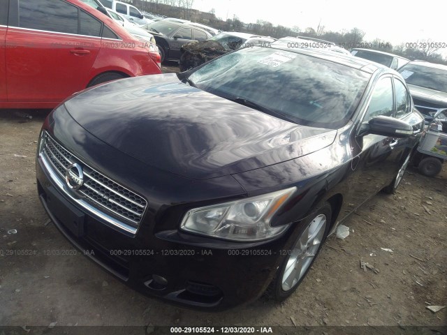 Photo 1 VIN: 1N4AA5AP6BC831584 - NISSAN MAXIMA 