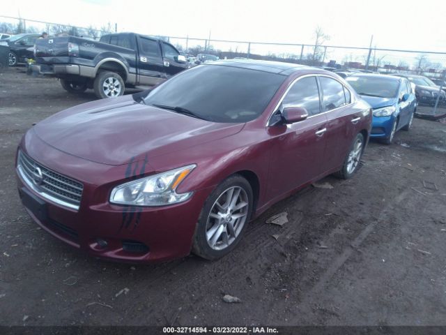 Photo 1 VIN: 1N4AA5AP6BC834601 - NISSAN MAXIMA 