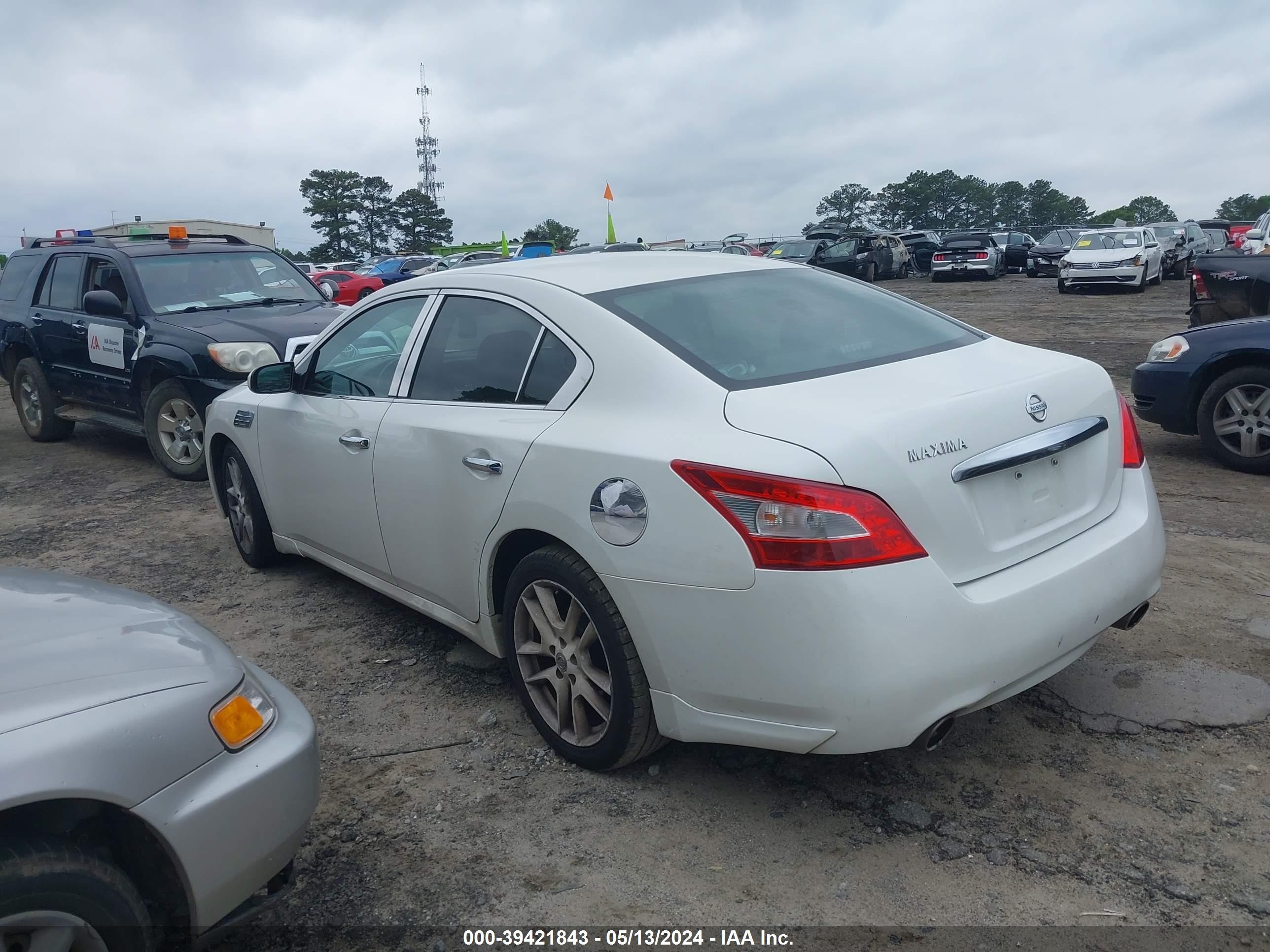 Photo 2 VIN: 1N4AA5AP6BC843847 - NISSAN MAXIMA 