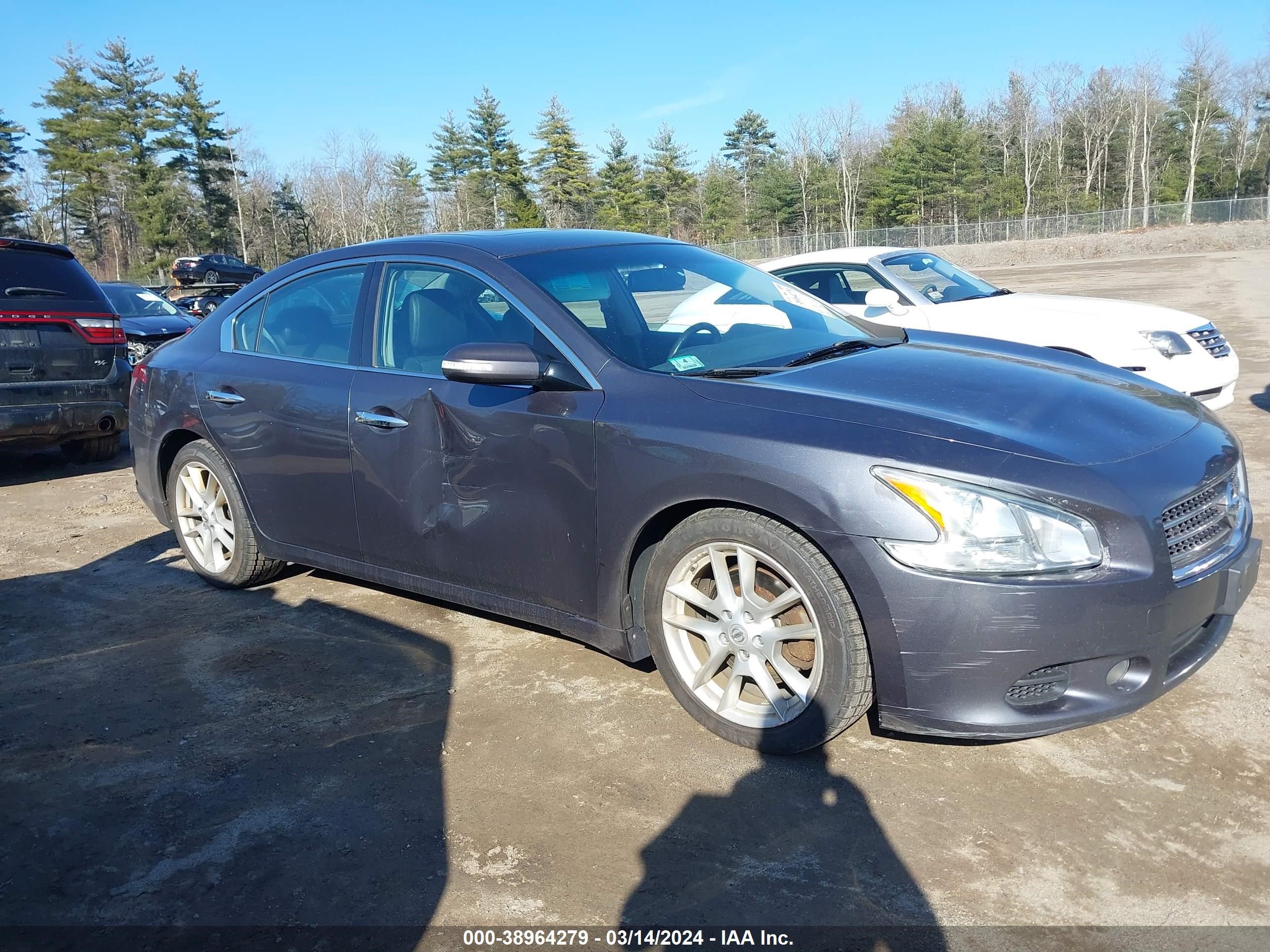 Photo 5 VIN: 1N4AA5AP6BC843914 - NISSAN MAXIMA 