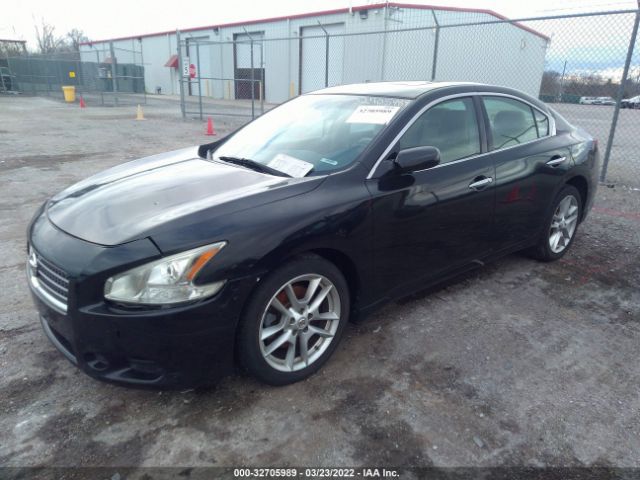 Photo 1 VIN: 1N4AA5AP6BC858851 - NISSAN MAXIMA 