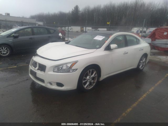 Photo 1 VIN: 1N4AA5AP6CC801065 - NISSAN MAXIMA 