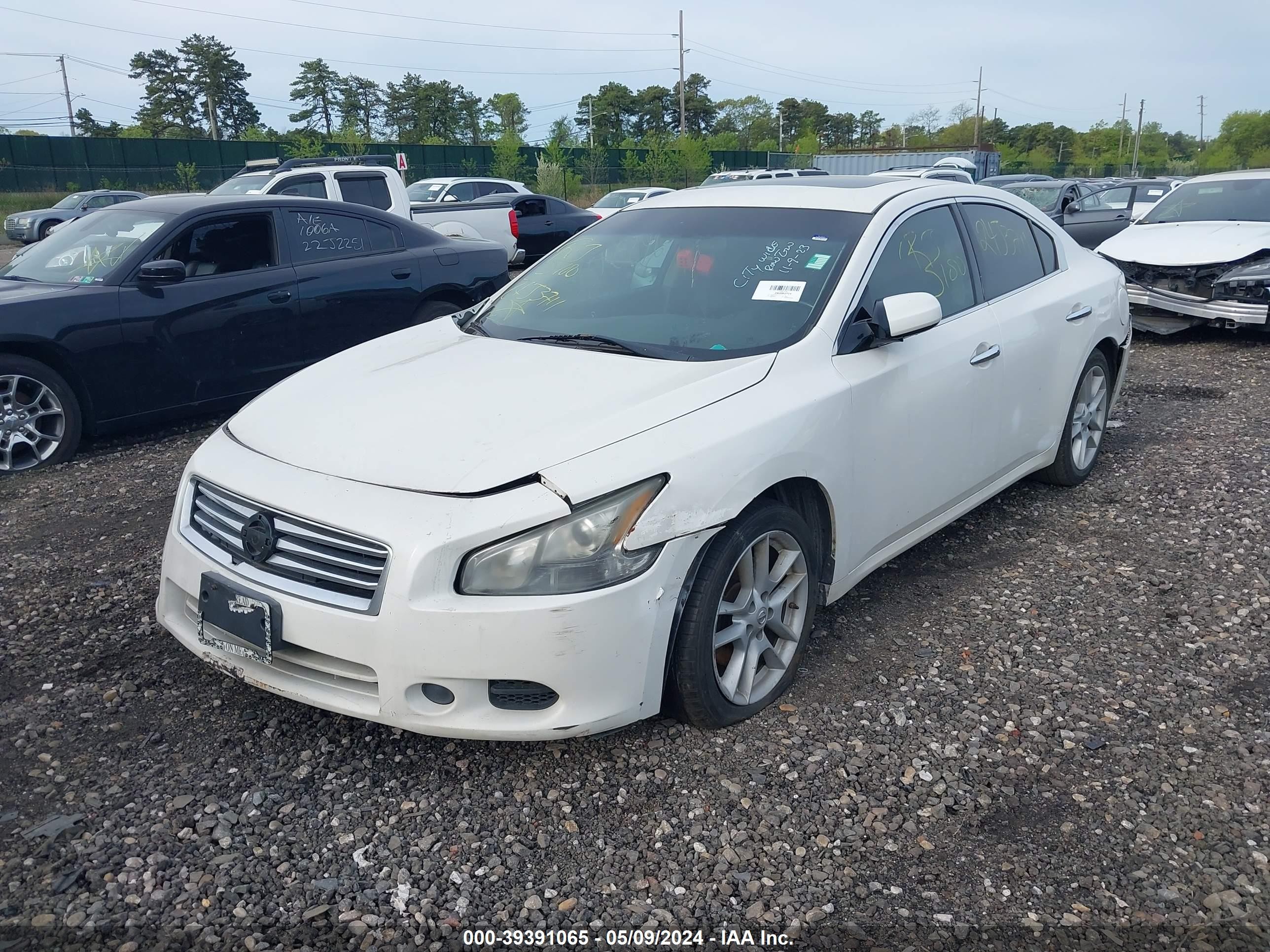 Photo 1 VIN: 1N4AA5AP6CC842599 - NISSAN MAXIMA 