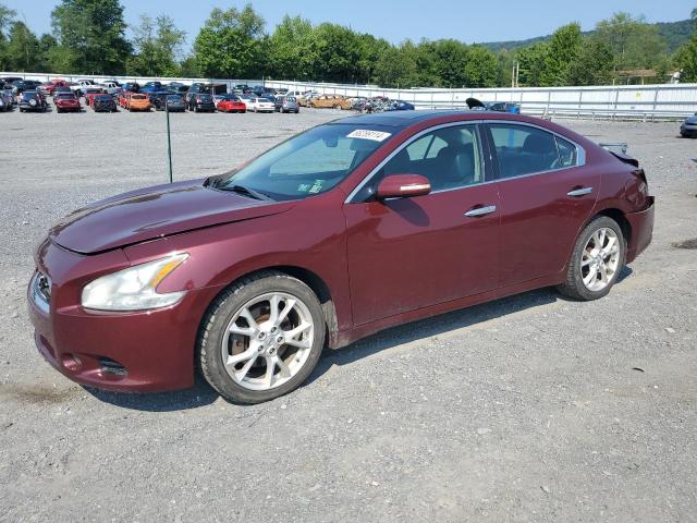 Photo 0 VIN: 1N4AA5AP6DC804078 - NISSAN MAXIMA 