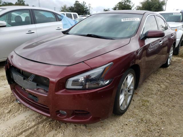 Photo 1 VIN: 1N4AA5AP6DC810477 - NISSAN MAXIMA S 