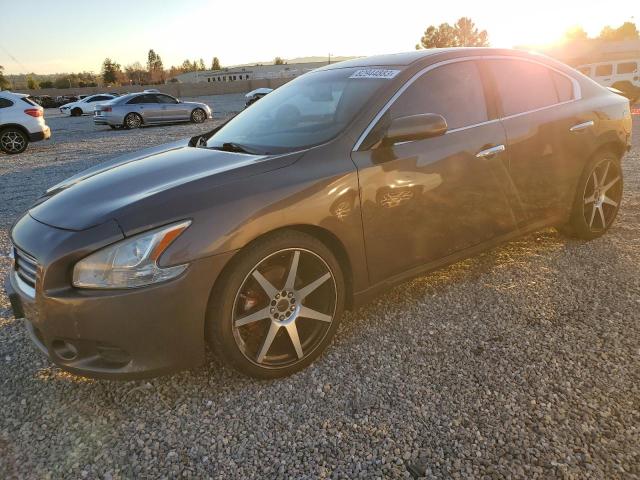 Photo 0 VIN: 1N4AA5AP6DC815422 - NISSAN MAXIMA 