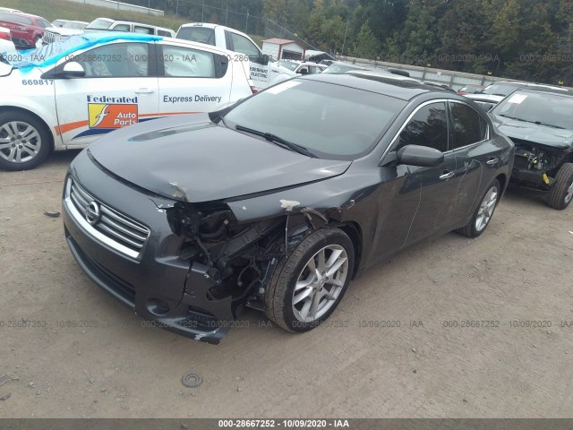 Photo 1 VIN: 1N4AA5AP6DC837775 - NISSAN MAXIMA 