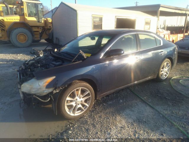 Photo 1 VIN: 1N4AA5AP6DC838229 - NISSAN MAXIMA 