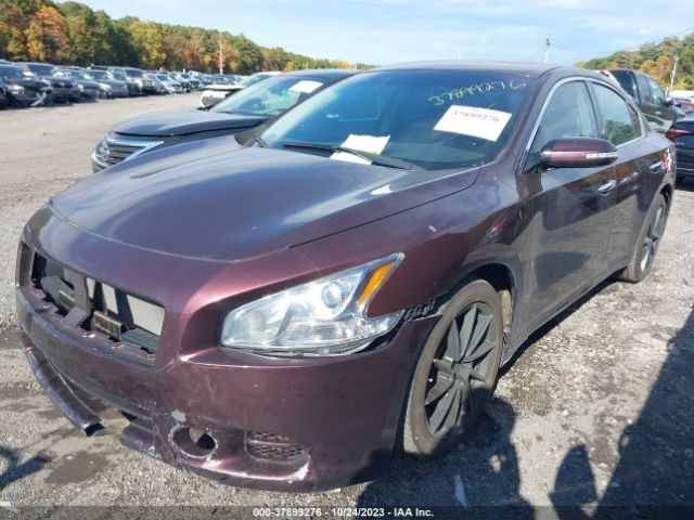 Photo 1 VIN: 1N4AA5AP6EC440276 - NISSAN MAXIMA S 