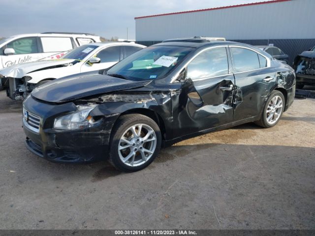 Photo 1 VIN: 1N4AA5AP6EC445462 - NISSAN MAXIMA 