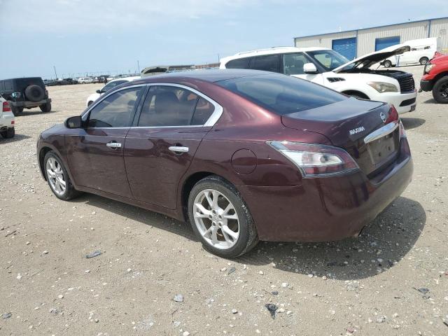 Photo 1 VIN: 1N4AA5AP6EC451066 - NISSAN MAXIMA 