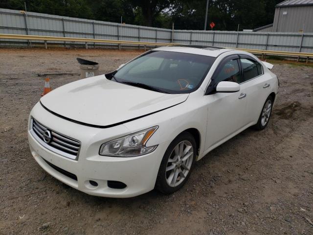 Photo 1 VIN: 1N4AA5AP6EC464559 - NISSAN MAXIMA 