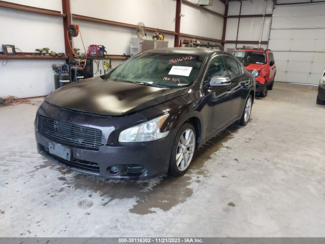 Photo 1 VIN: 1N4AA5AP6EC477358 - NISSAN MAXIMA 