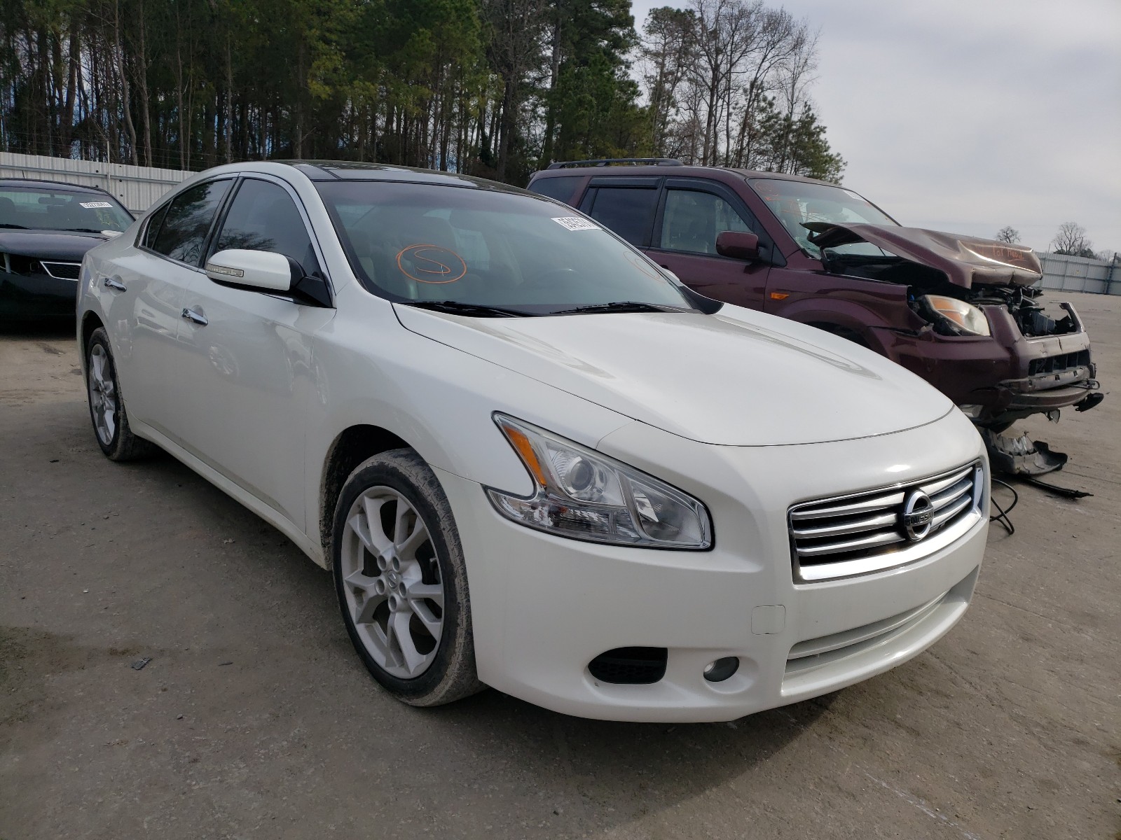 Photo 0 VIN: 1N4AA5AP6EC911116 - NISSAN MAXIMA S 