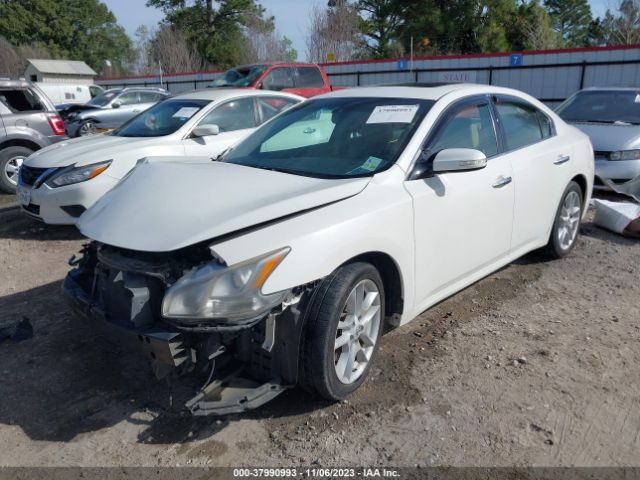 Photo 1 VIN: 1N4AA5AP7AC805218 - NISSAN MAXIMA 