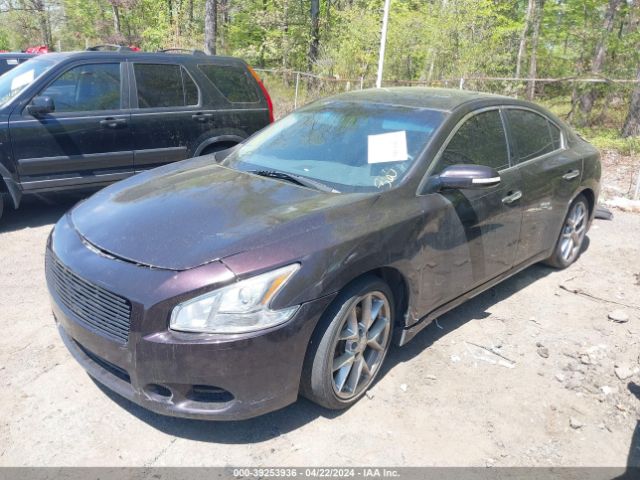 Photo 1 VIN: 1N4AA5AP7AC806529 - NISSAN MAXIMA 