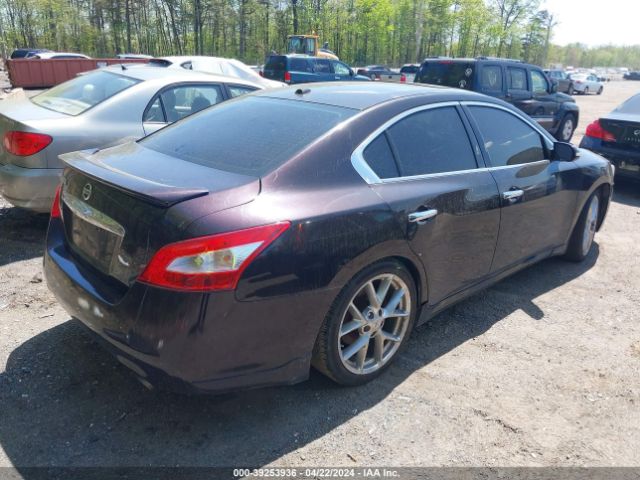 Photo 3 VIN: 1N4AA5AP7AC806529 - NISSAN MAXIMA 