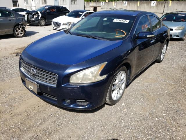 Photo 1 VIN: 1N4AA5AP7AC813206 - NISSAN MAXIMA 