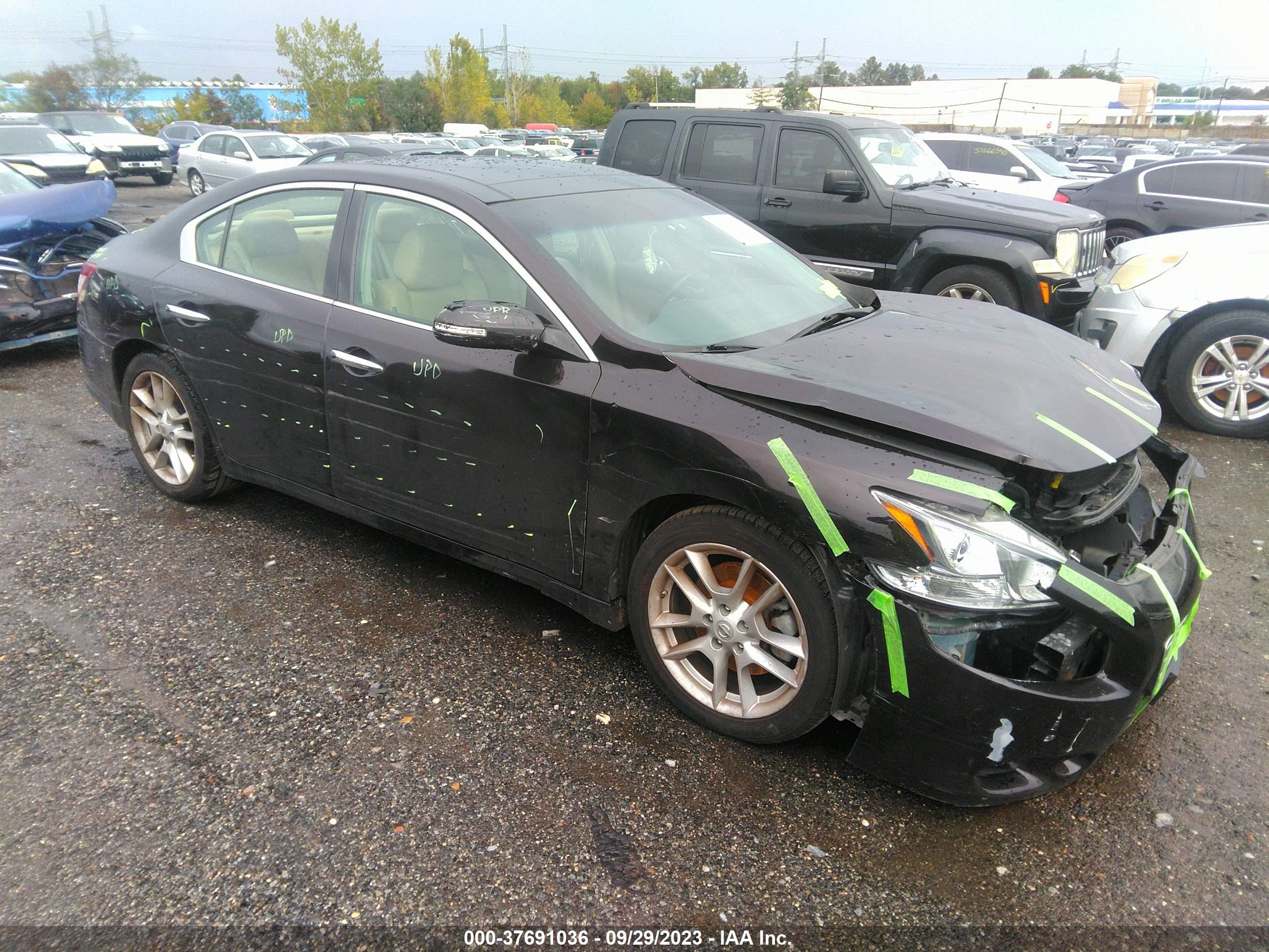 Photo 0 VIN: 1N4AA5AP7AC813920 - NISSAN MAXIMA 