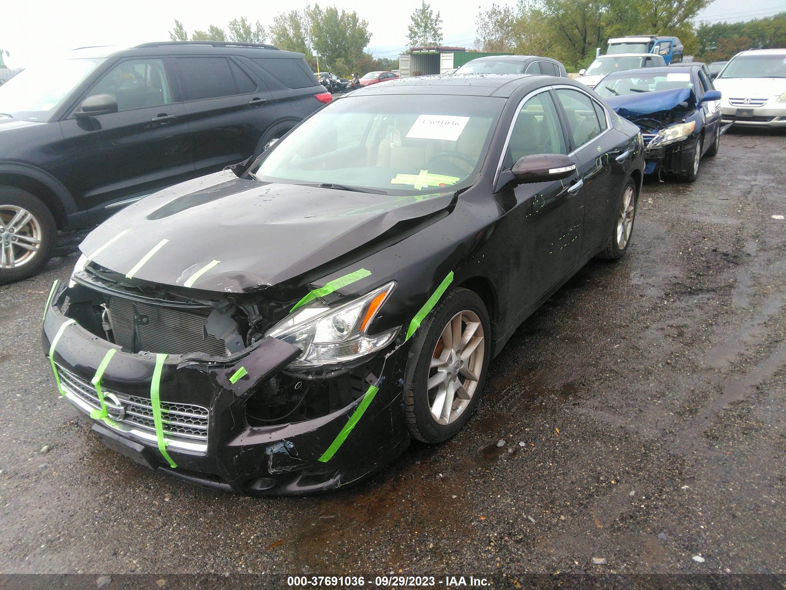 Photo 1 VIN: 1N4AA5AP7AC813920 - NISSAN MAXIMA 