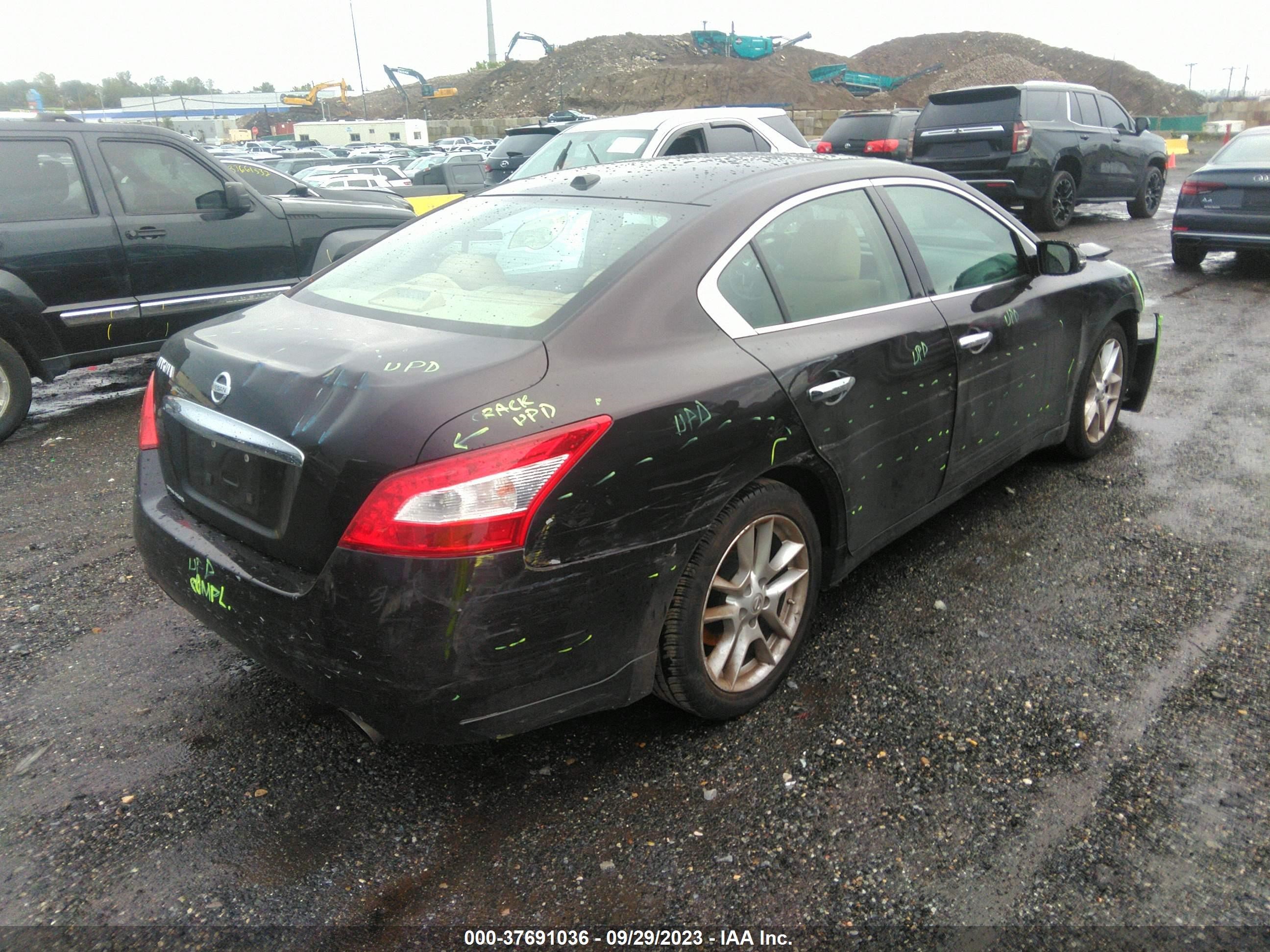 Photo 3 VIN: 1N4AA5AP7AC813920 - NISSAN MAXIMA 