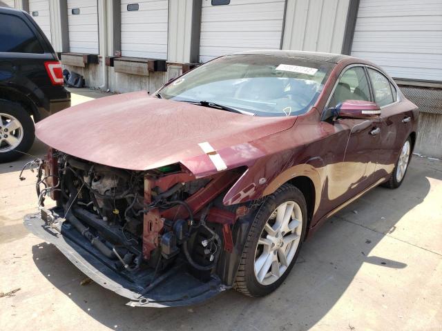 Photo 1 VIN: 1N4AA5AP7AC821385 - NISSAN MAXIMA S 