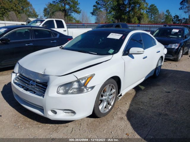 Photo 1 VIN: 1N4AA5AP7AC831317 - NISSAN MAXIMA 