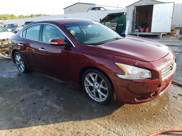 Photo 3 VIN: 1N4AA5AP7AC833553 - NISSAN MAXIMA 