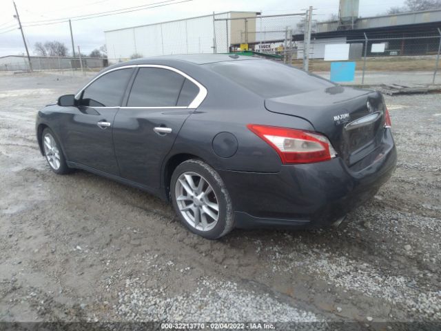 Photo 2 VIN: 1N4AA5AP7AC842205 - NISSAN MAXIMA 