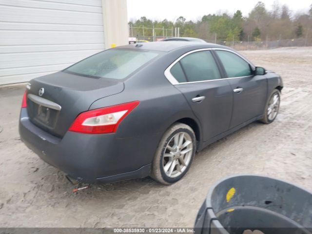 Photo 3 VIN: 1N4AA5AP7AC842530 - NISSAN MAXIMA 