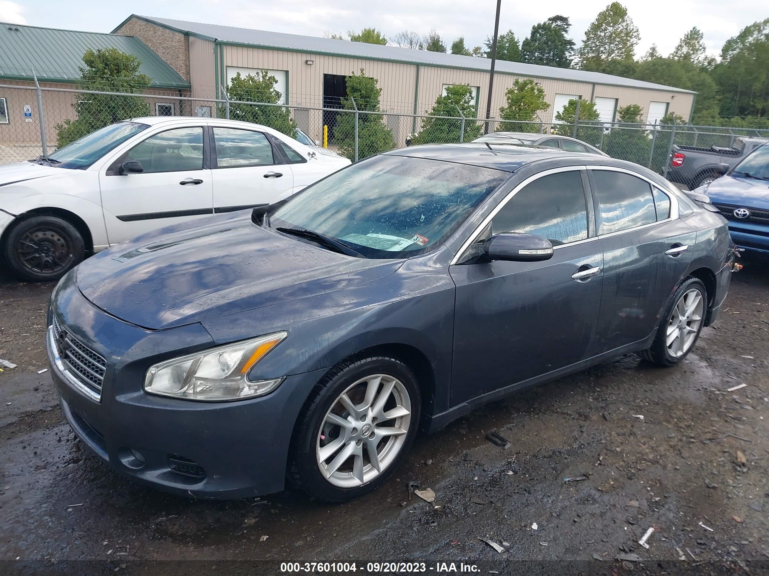 Photo 1 VIN: 1N4AA5AP7AC845556 - NISSAN MAXIMA 