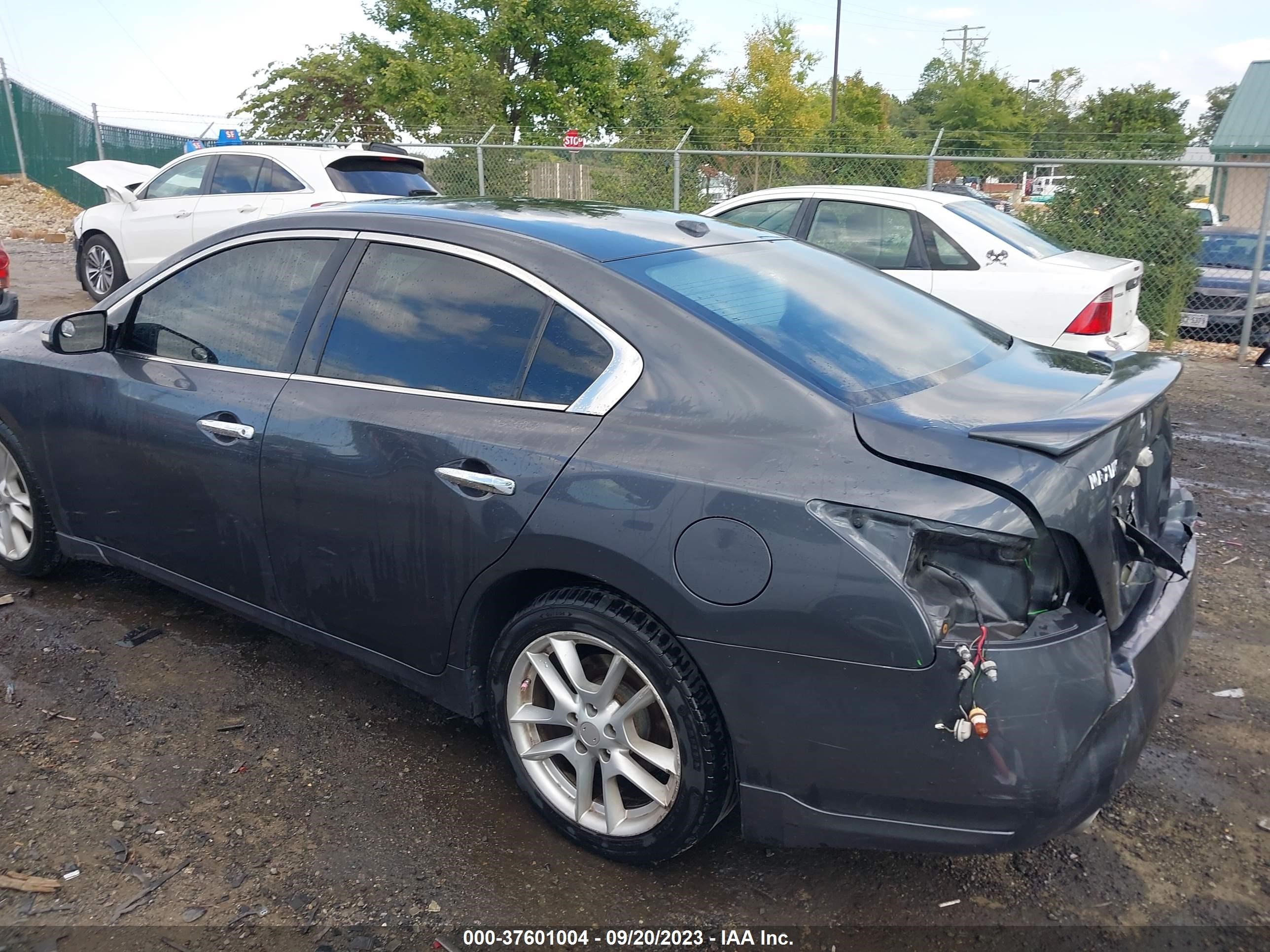 Photo 2 VIN: 1N4AA5AP7AC845556 - NISSAN MAXIMA 