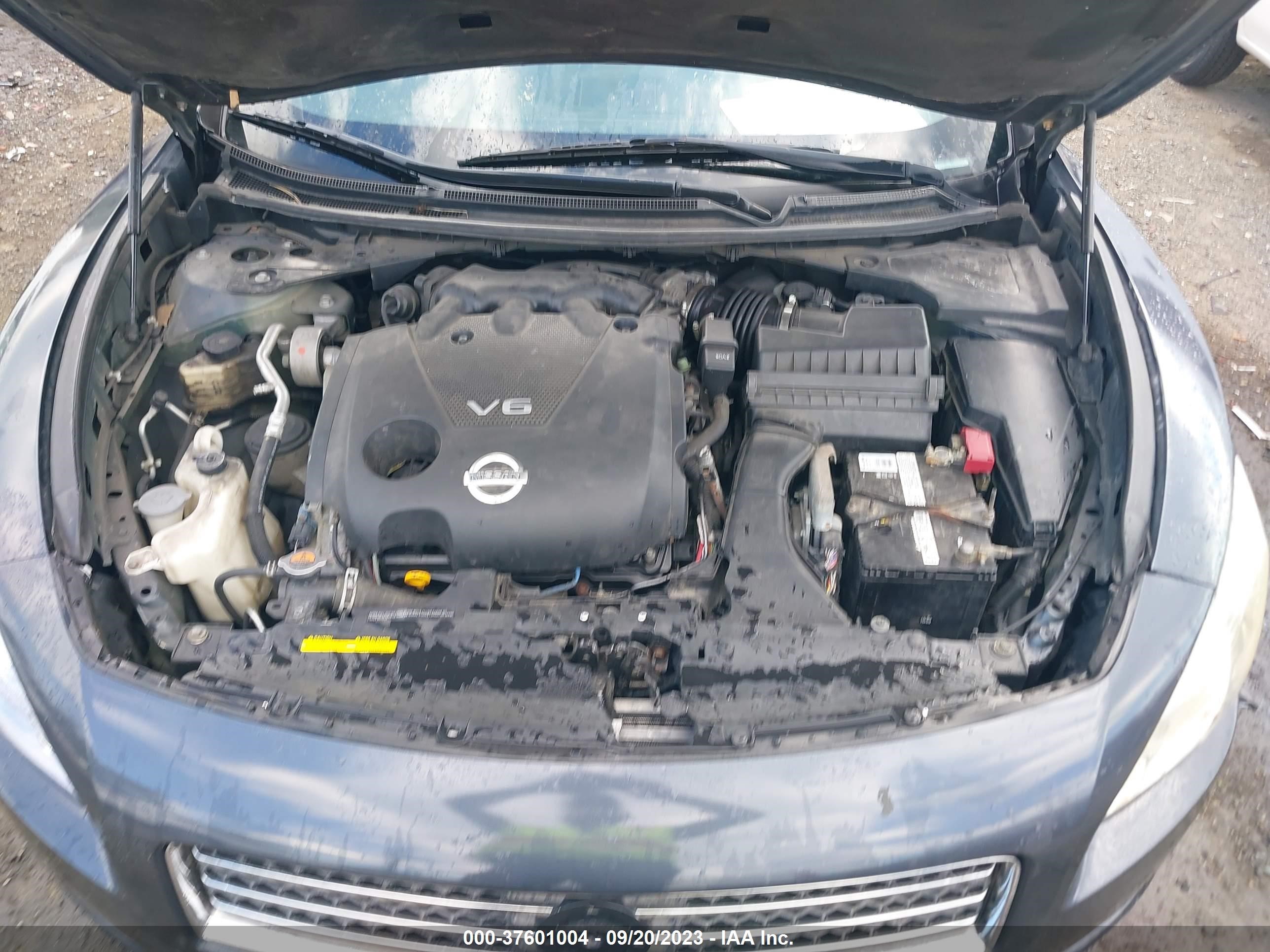 Photo 9 VIN: 1N4AA5AP7AC845556 - NISSAN MAXIMA 