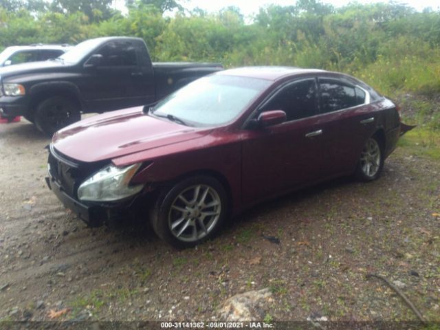 Photo 1 VIN: 1N4AA5AP7AC852779 - NISSAN MAXIMA 