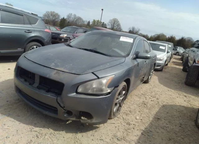 Photo 1 VIN: 1N4AA5AP7AC856007 - NISSAN MAXIMA 