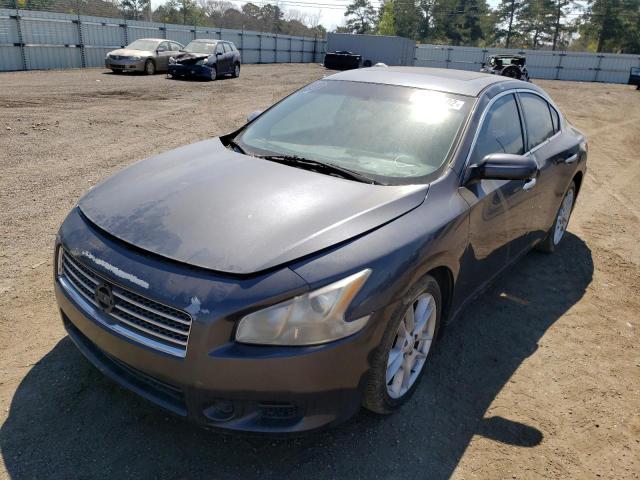 Photo 1 VIN: 1N4AA5AP7AC858775 - NISSAN MAXIMA S 