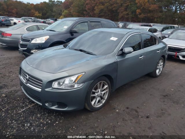 Photo 1 VIN: 1N4AA5AP7AC866536 - NISSAN MAXIMA 