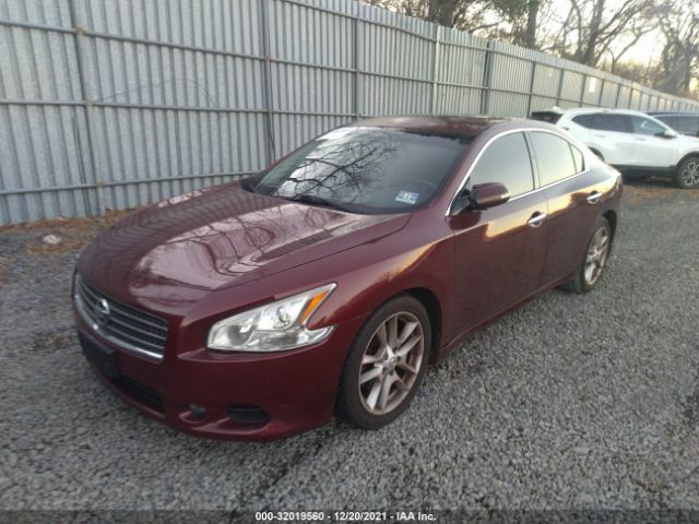 Photo 1 VIN: 1N4AA5AP7AC875365 - NISSAN MAXIMA 