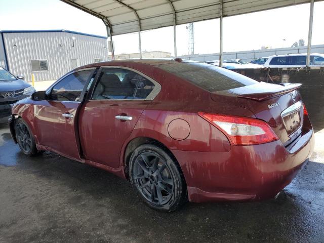 Photo 1 VIN: 1N4AA5AP7BC802062 - NISSAN MAXIMA 