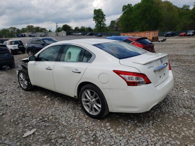 Photo 1 VIN: 1N4AA5AP7BC802742 - NISSAN MAXIMA 