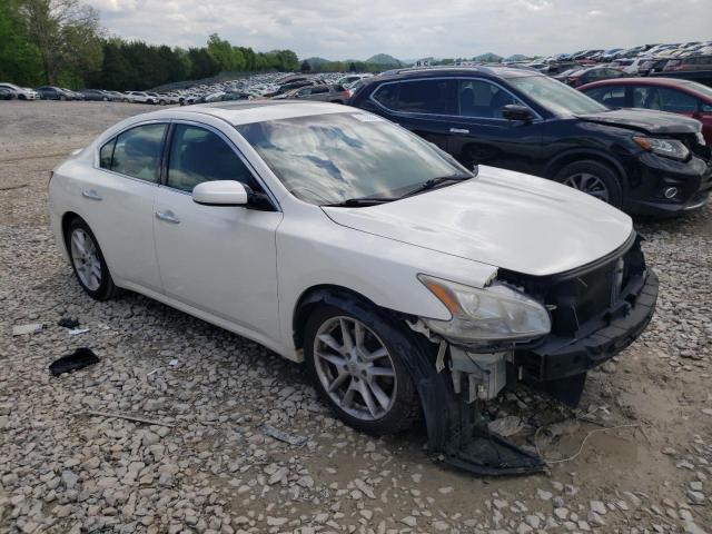 Photo 3 VIN: 1N4AA5AP7BC802742 - NISSAN MAXIMA 